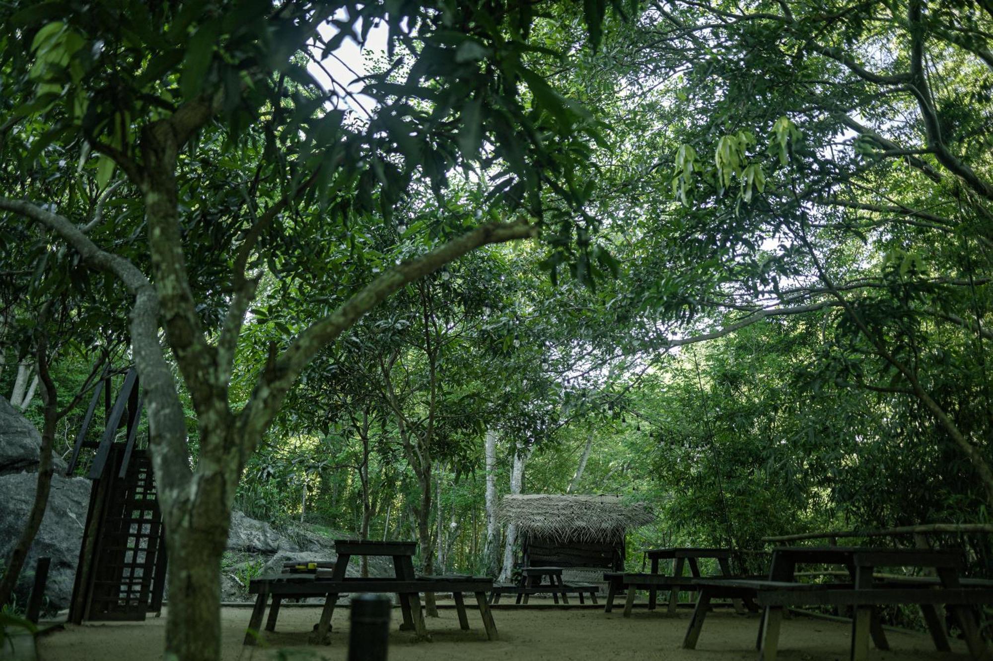 אודוואלאווה River Glamping By Gaga Bees מראה חיצוני תמונה
