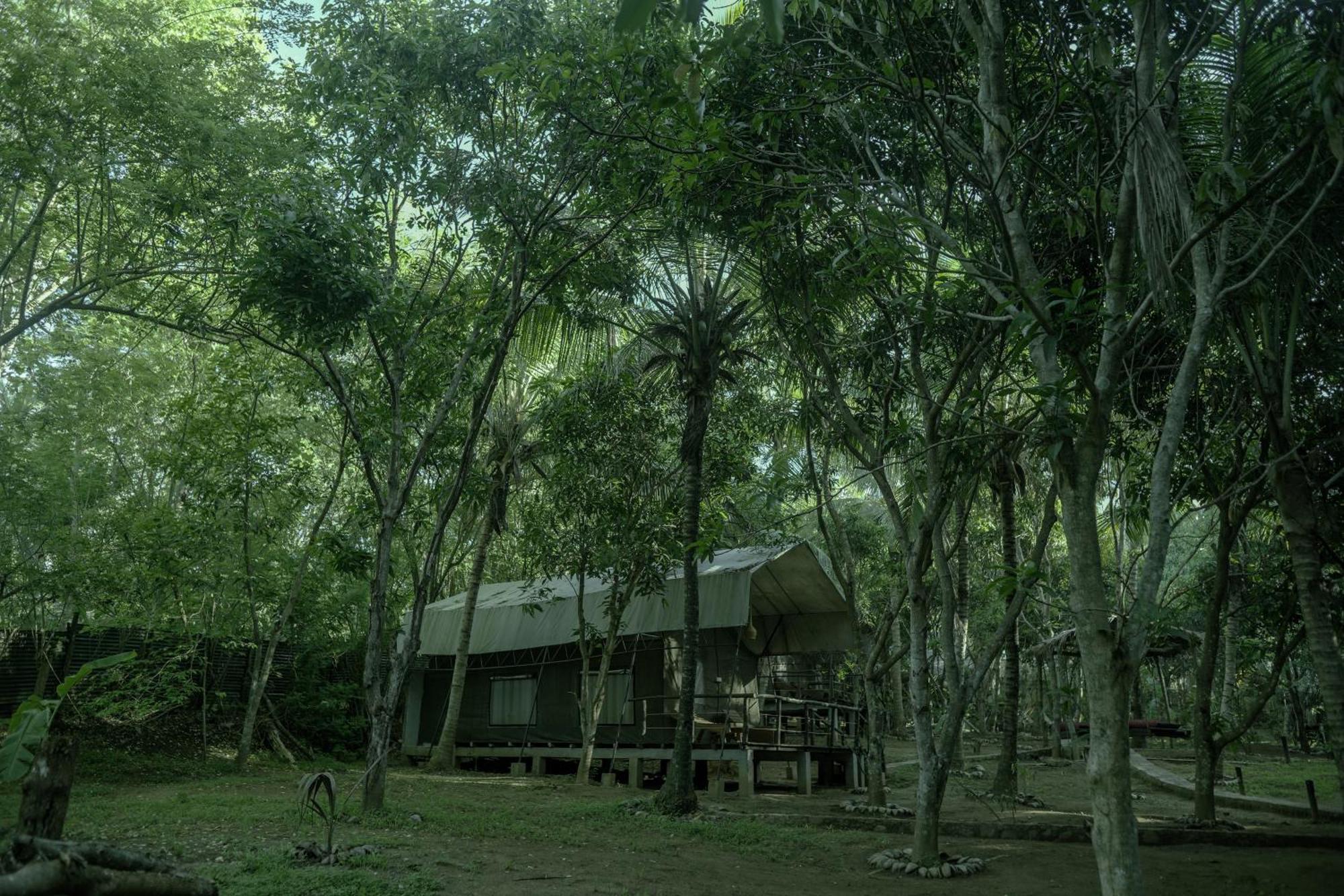 אודוואלאווה River Glamping By Gaga Bees מראה חיצוני תמונה