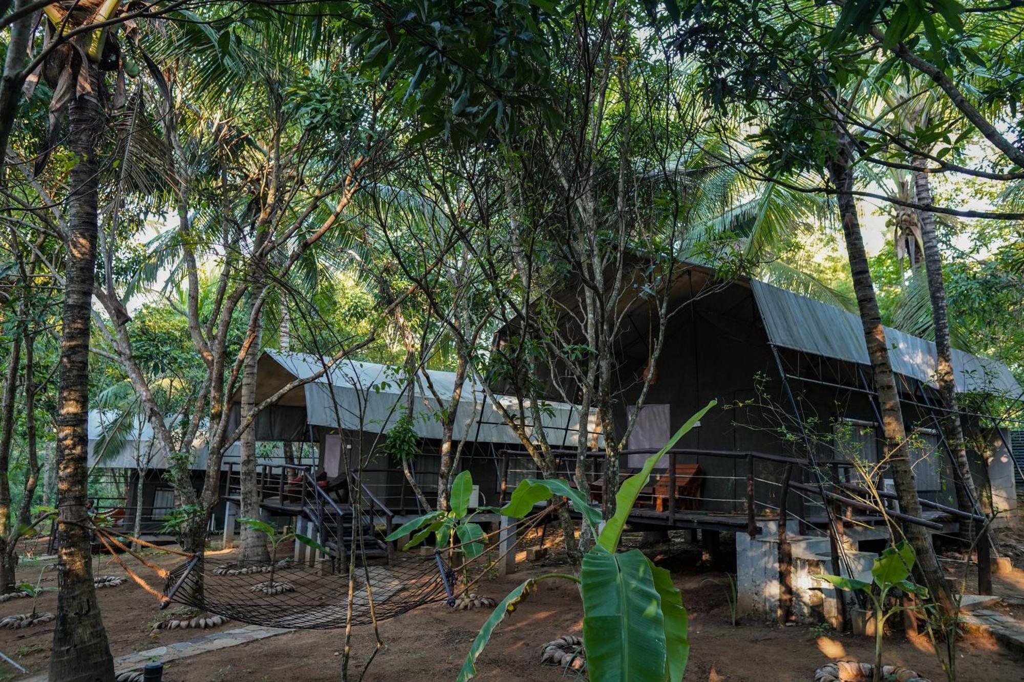 אודוואלאווה River Glamping By Gaga Bees מראה חיצוני תמונה