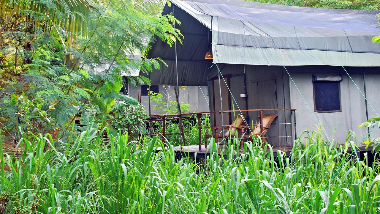 אודוואלאווה River Glamping By Gaga Bees מראה חיצוני תמונה