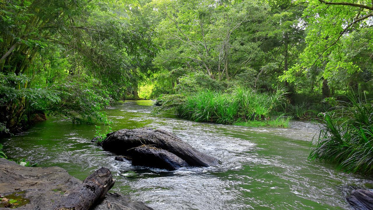אודוואלאווה River Glamping By Gaga Bees מראה חיצוני תמונה