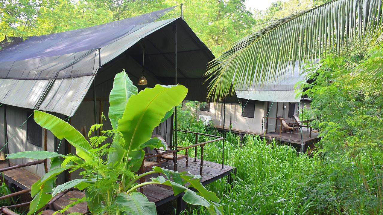 אודוואלאווה River Glamping By Gaga Bees מראה חיצוני תמונה